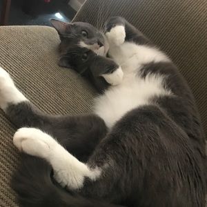 Meet your Posher, Anna